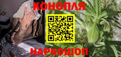 гидропоника Заводоуковск