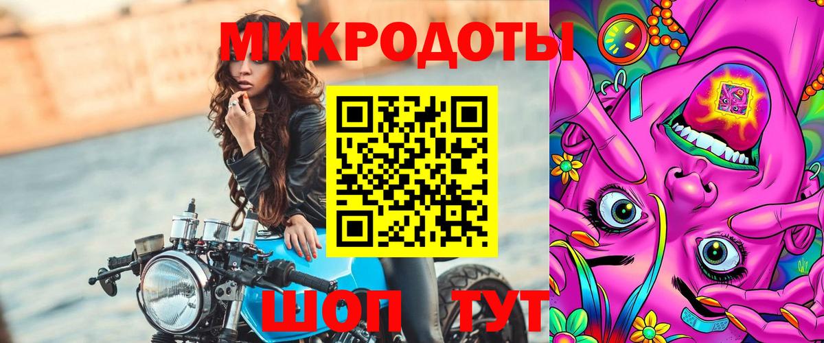 Псилоцибиновые грибы Cubensis Назарово