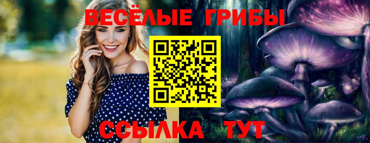 Назарово  Галлюциногенные грибы ЛСД  Вход с VPN  Псилоцибиновые грибы Cubensis 